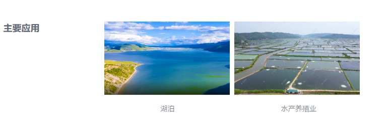 1664413880848255.jpg 888.JPG