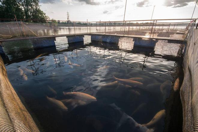 北京养殖污水处理